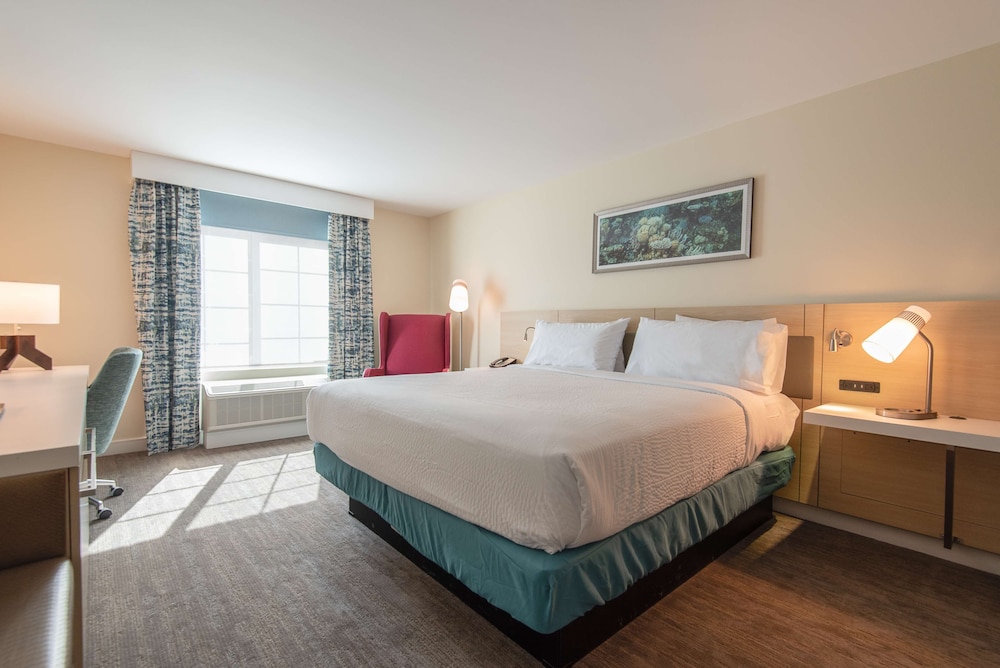 Room, 1 King Bed, Accessible - Photo 1