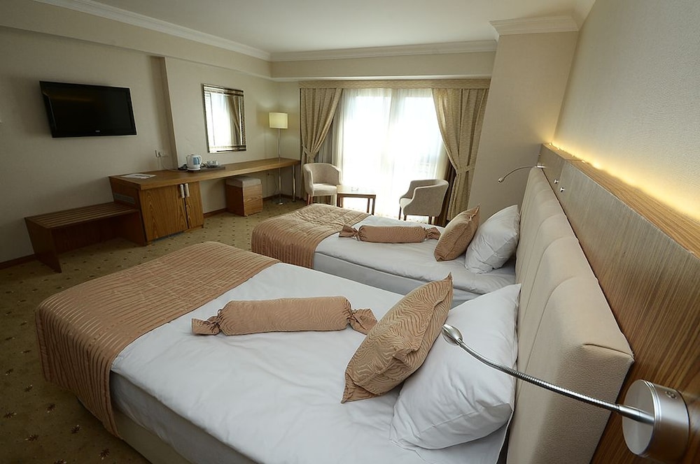 Standard Rooms with French Bed thumbnail 6