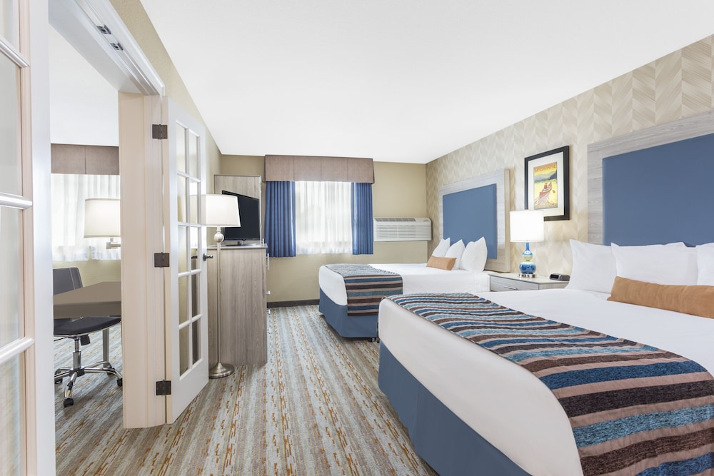 Studio Suite, Multiple Beds photo 1