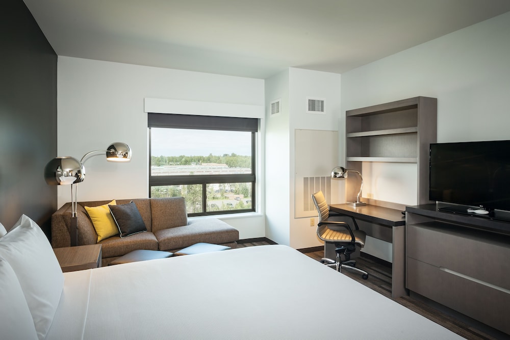 Room, 1 King Bed