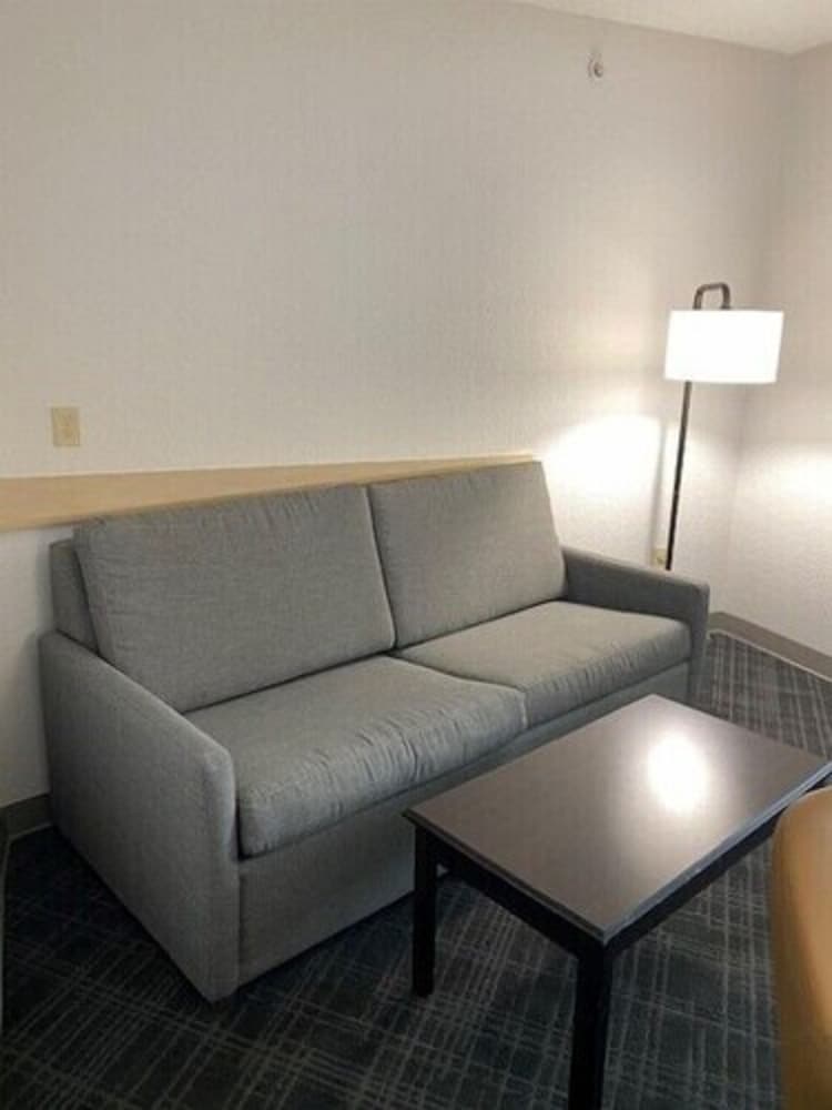 Suite, 1 King Bed with Sofa bed, Non Smoking - Photo 5