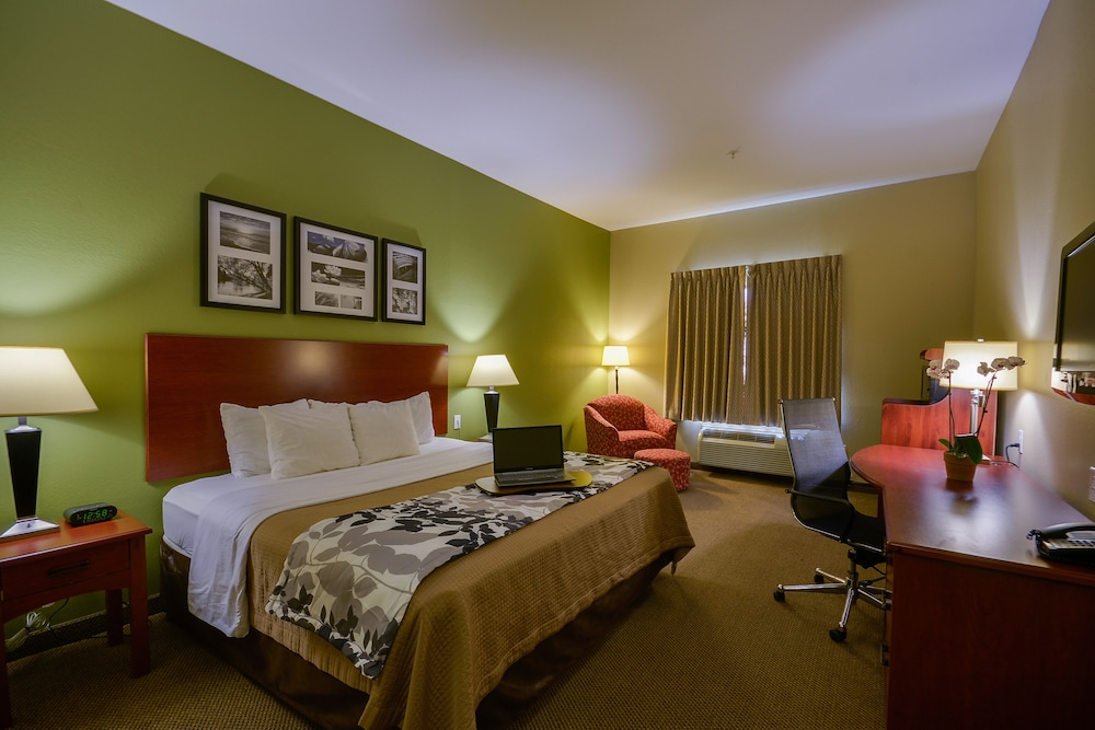 Suite, 1 King Bed with Sofa bed, Accessible, Non Smoking - Photo 1