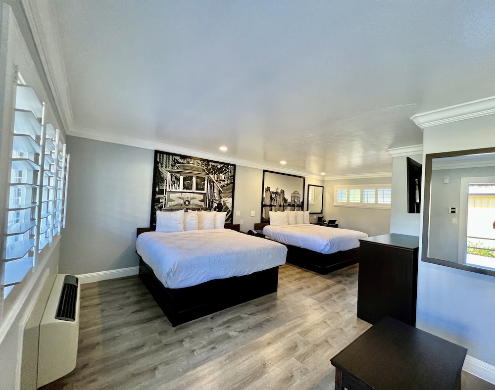 Family Studio Suite, Multiple Beds (sofabed not included) - Photo 4