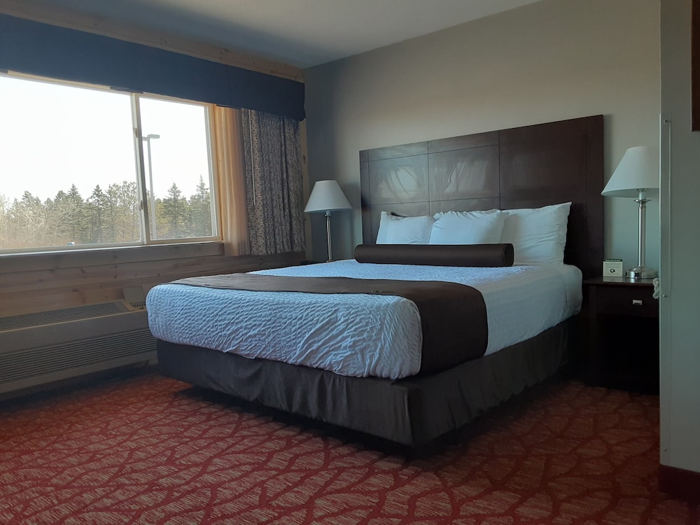 Room, 1 King Bed, Accessible Bathtub, Non Smoking photo 1