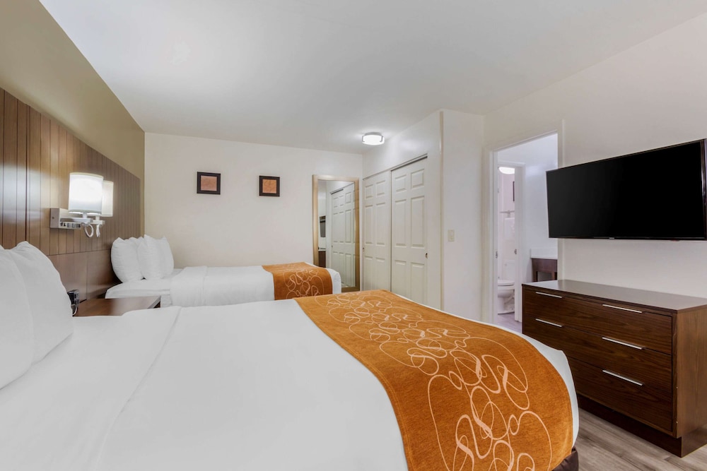 Suite, Non Smoking - Photo 2