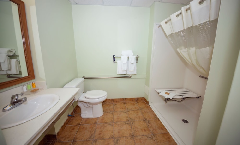 Basic Single Room