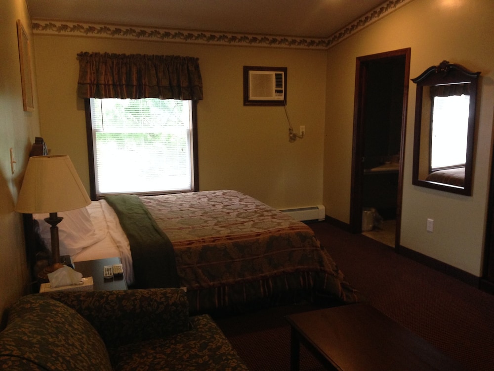 Room, 1 King Bed with Sofa bed photo 1