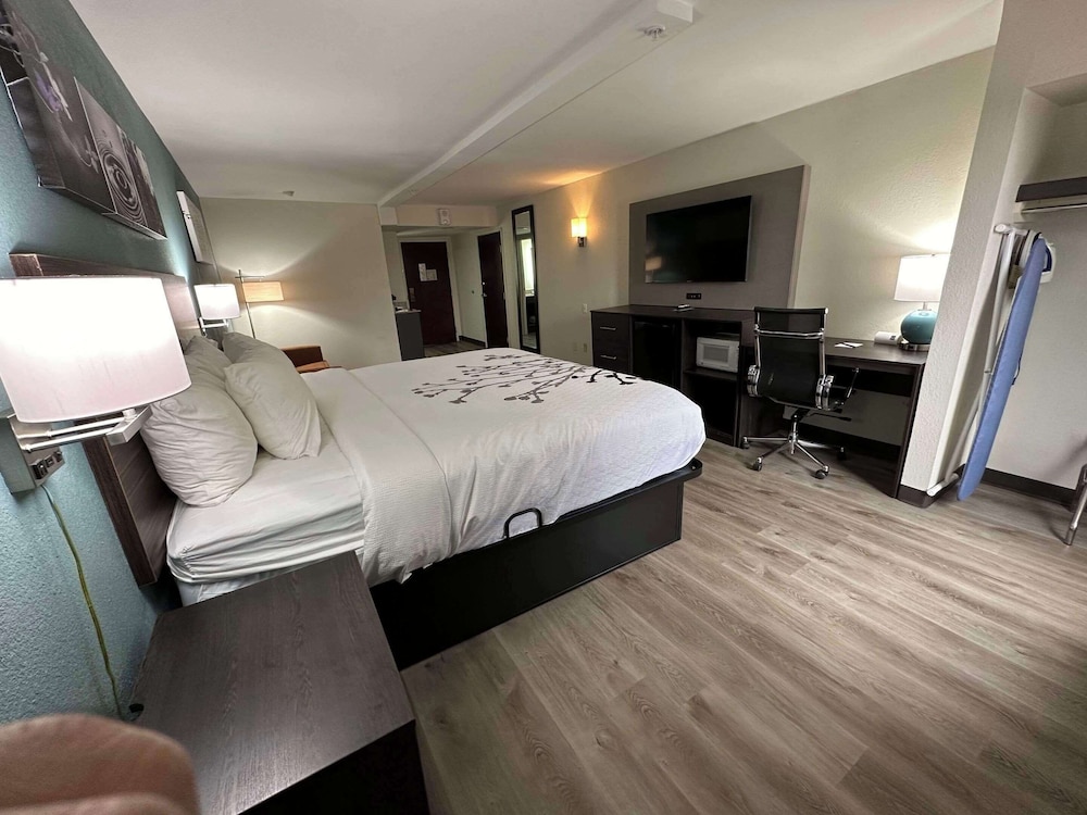 Suite, 1 King Bed, Non Smoking - Photo 4