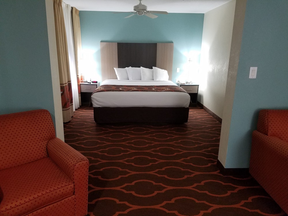 Suite, 1 King Bed, Non Smoking - Photo 11
