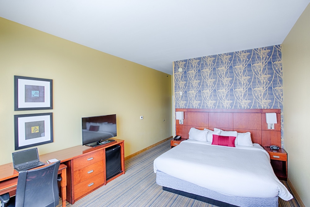 Room, 1 King Bed (Mobility/Hearing Access, Roll-In Shwr)