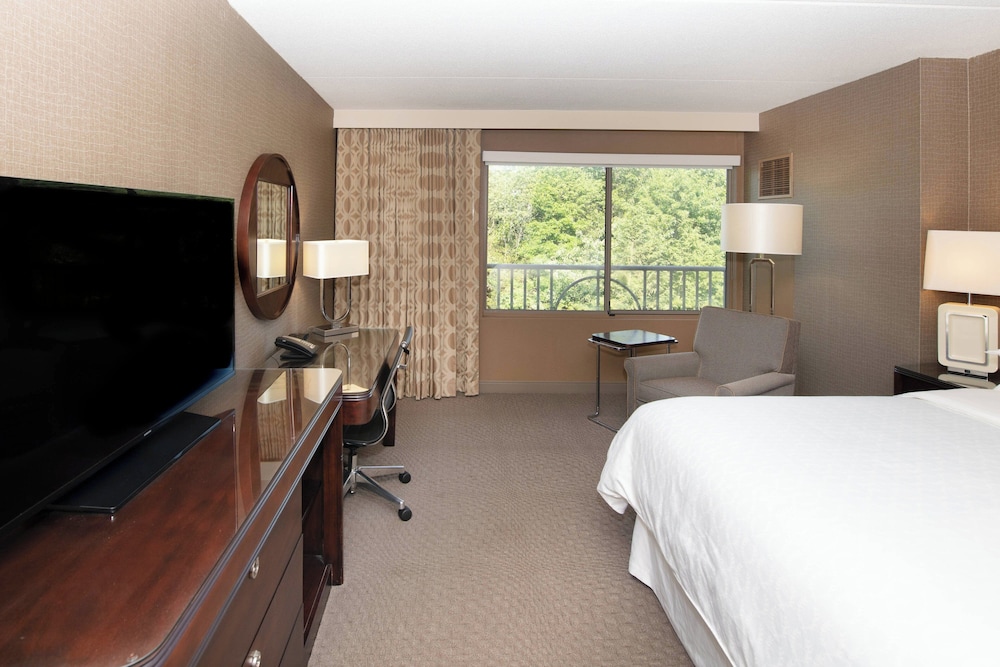 Room, 1 King Bed (Mobility/Hearing Access, Roll-In Shwr) - Photo 2