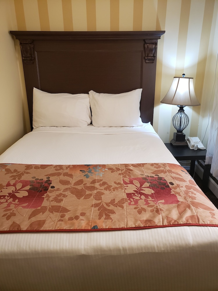 Basic Room, 1 Double Bed photo 2