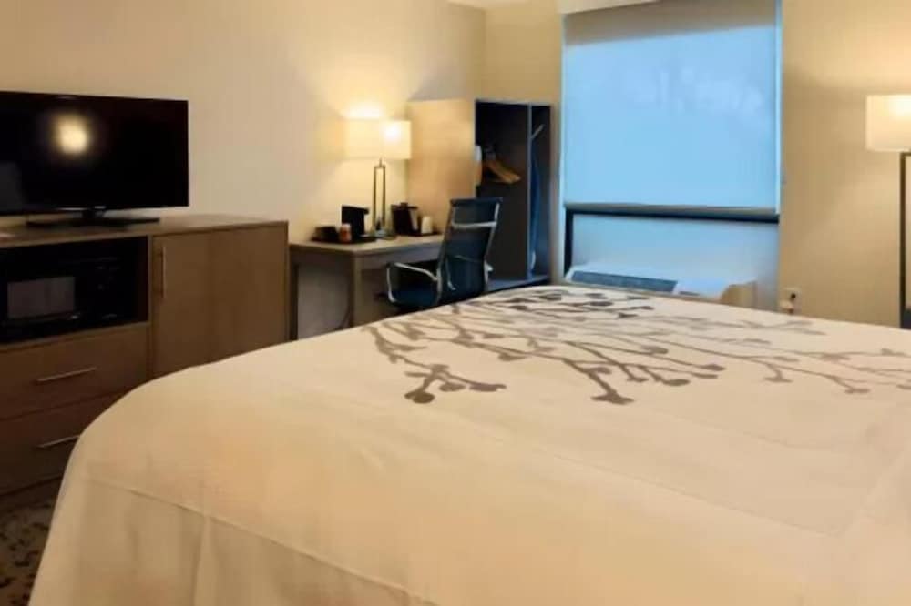 Standard Room, 1 King Bed, Non Smoking - Photo 3