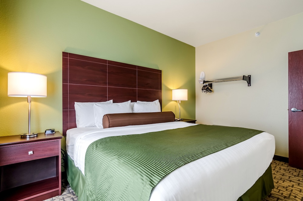 Suite, 1 King Bed with Sofa bed, Non Smoking photo 3