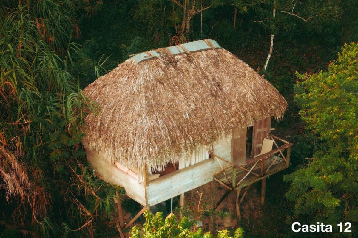 Chalet photo 2
