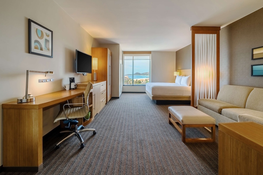 Standard Room, 1 King Bed With Sofa Bed