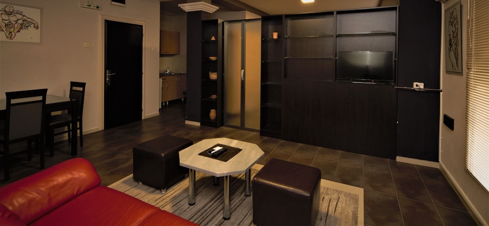 Presidential Apartment, 1 Bedroom photo 1