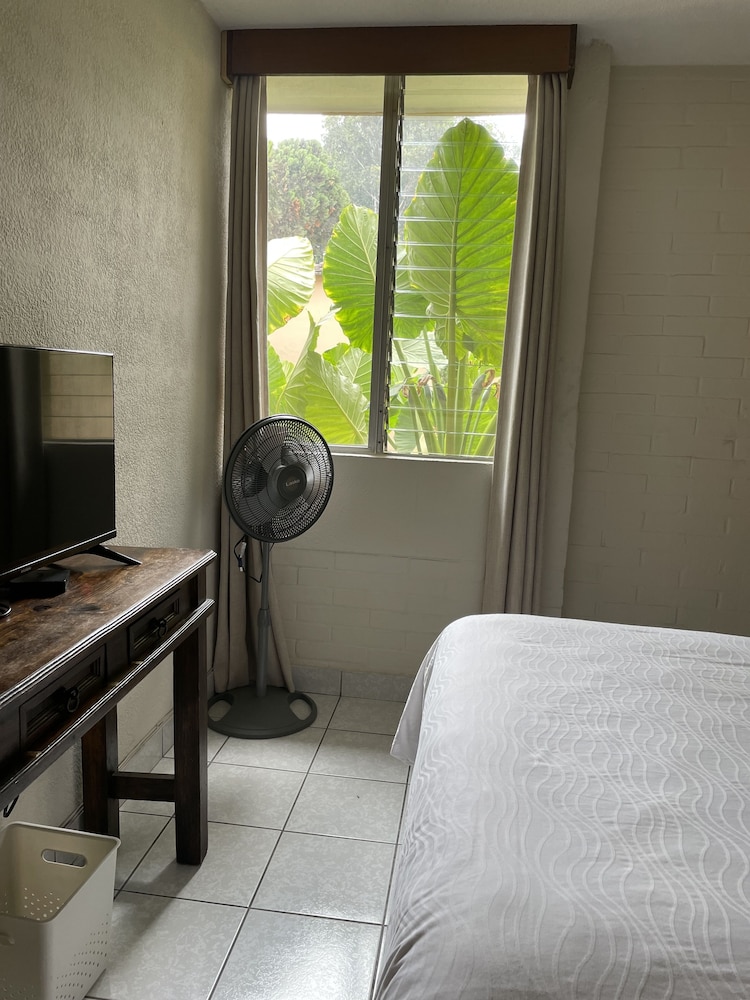 Economy Room photo 2