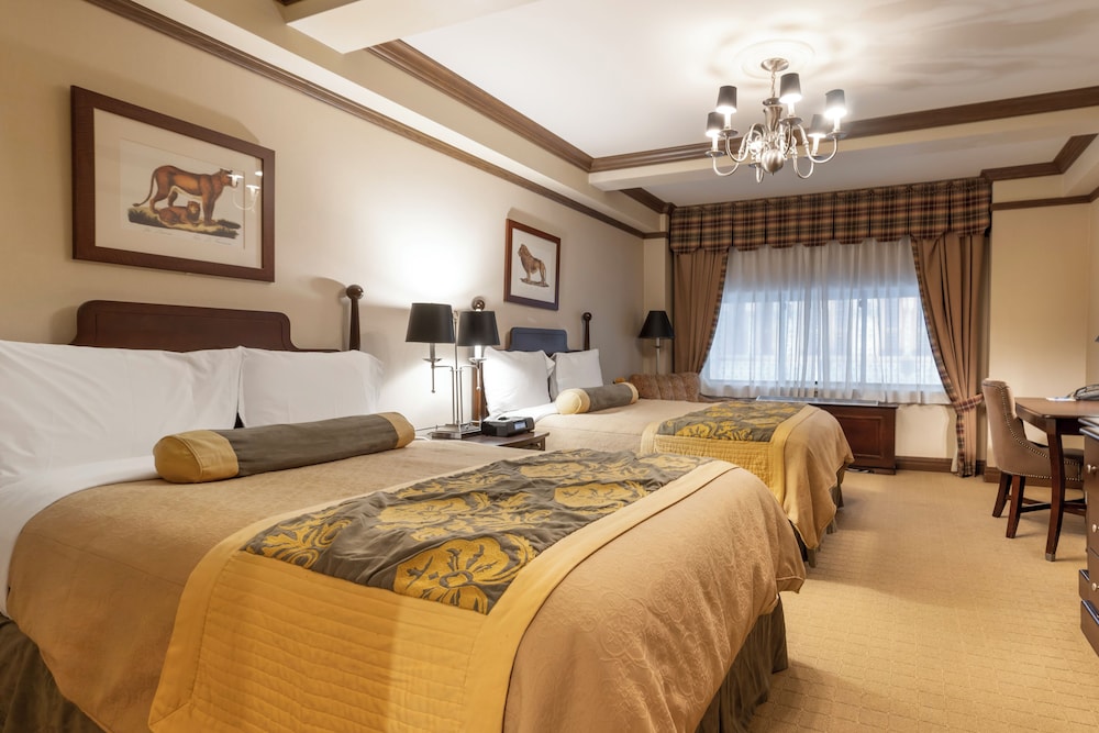 Basic Quadruple Room photo 1
