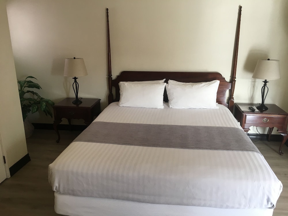 Standard Room, 1 King Bed, Ocean View ((7JB) Shared balcony) photo 1