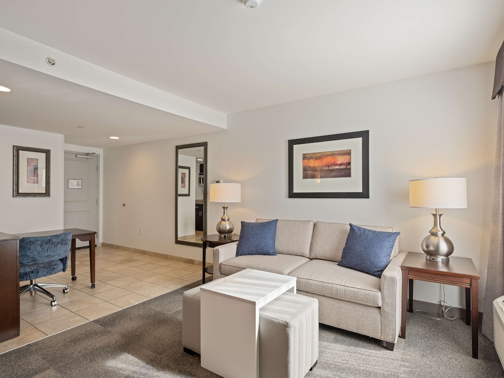 Studio Suite, 1 King Bed photo 1