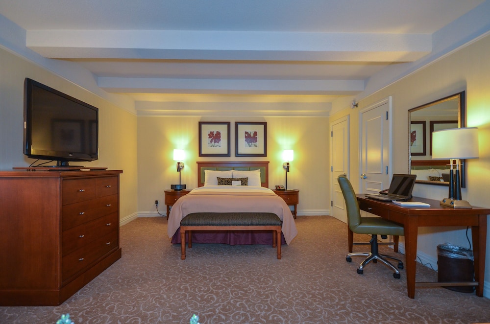 Executive Junior Suite, 1 King Bed: Oversized Room and Spacious Sitting area with Sofa Bed