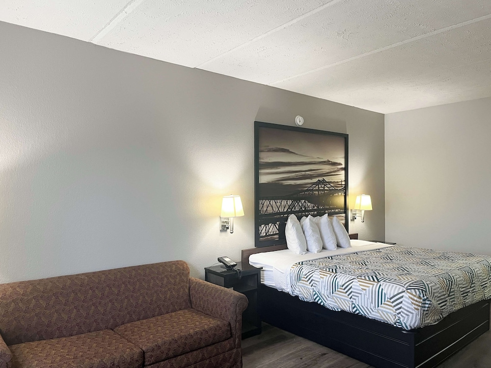 Deluxe Room, 1 King Bed, Smoking, Refrigerator & Microwave - Photo 3