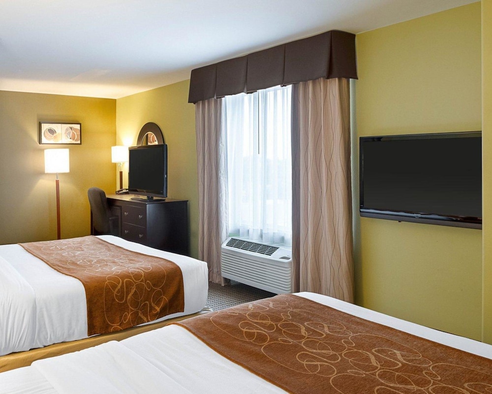 Studio Suite, Multiple Beds, Accessible, Non Smoking photo 3