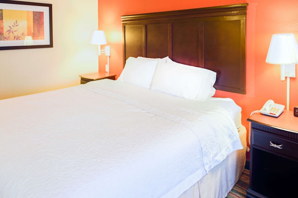 Classic Room, 1 King Bed, Accessible, Bathtub (Mobility Room - Tub) - Photo 3