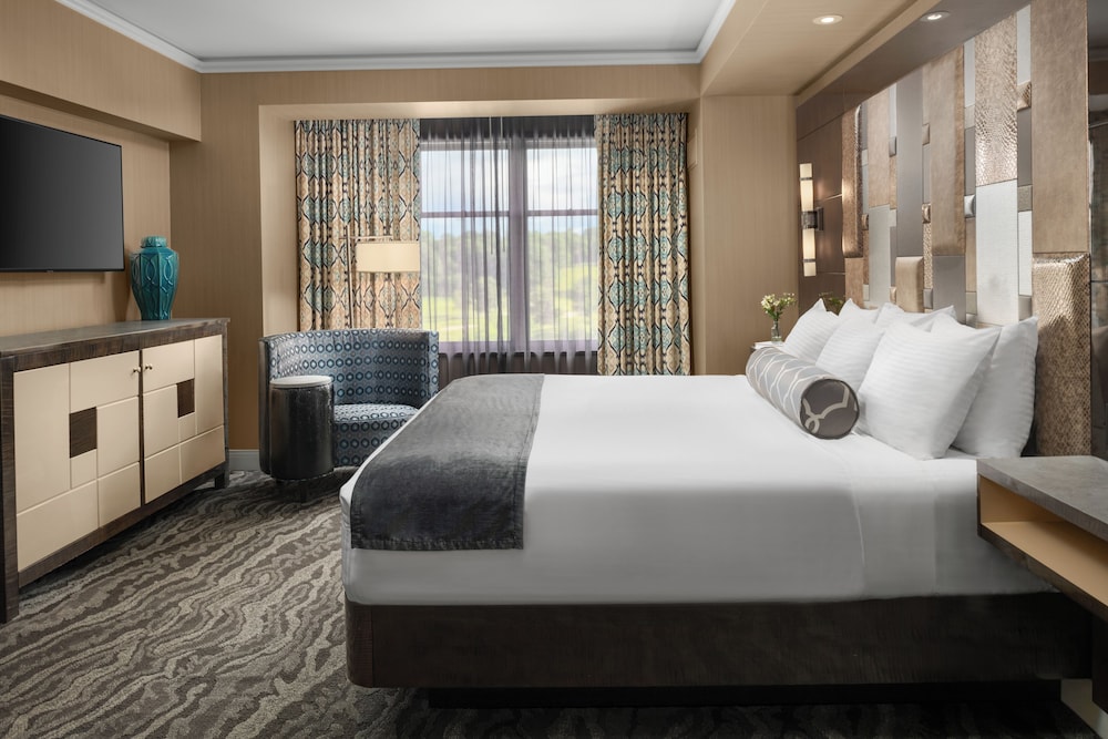 Suite, 1 King Bed (Suite King Bed ADA) photo 1