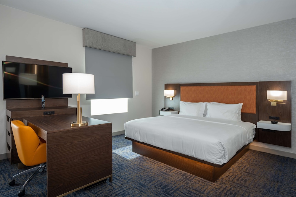 Suite, 1 King Bed, Accessible, Refrigerator & Microwave (Refrigerator & Microwave) - Photo 10