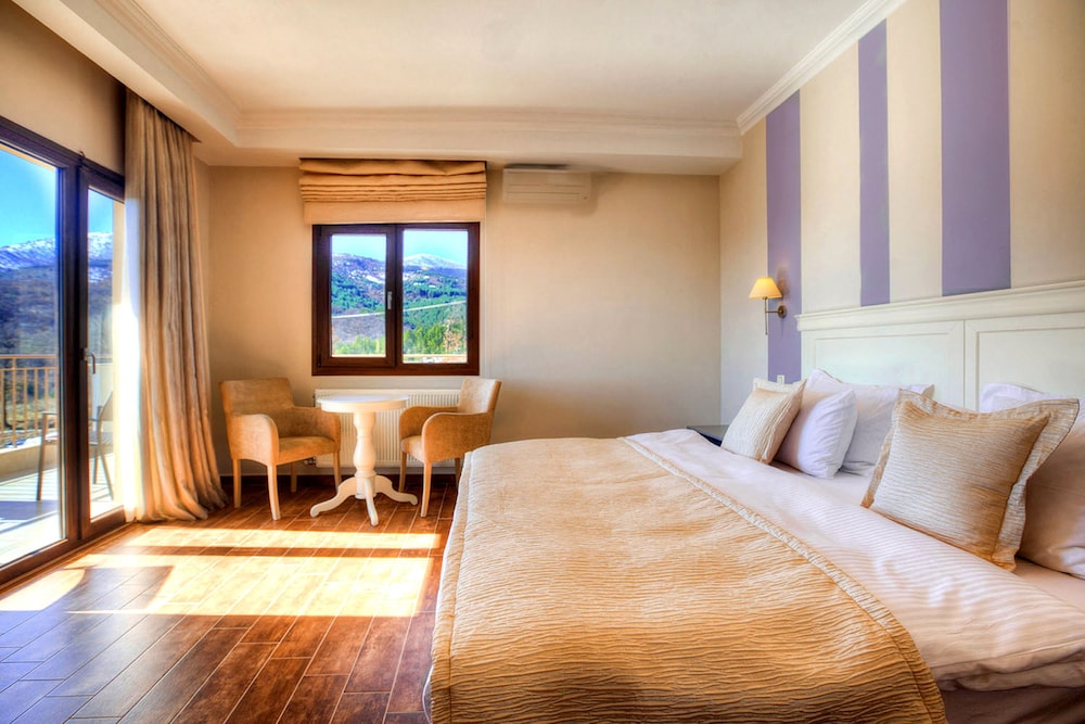 Superior Double or Twin Room photo 3