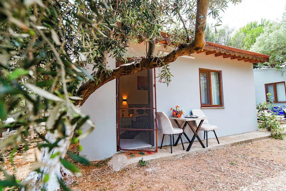 Standard Triple Room, Courtyard View photo 1