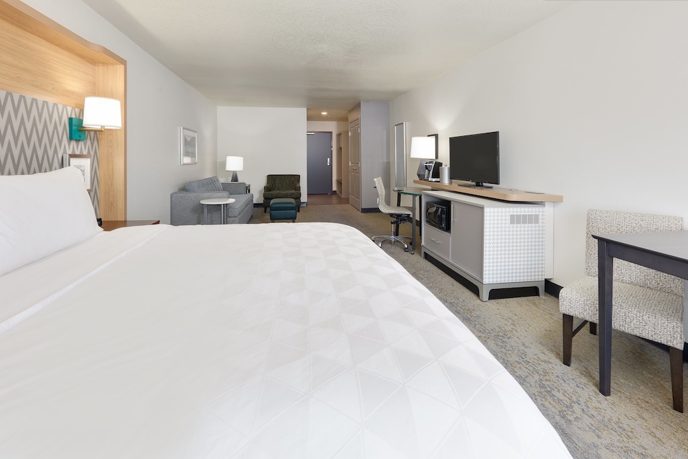 Suite, 1 King Bed with Sofa bed, Accessible - Photo 1