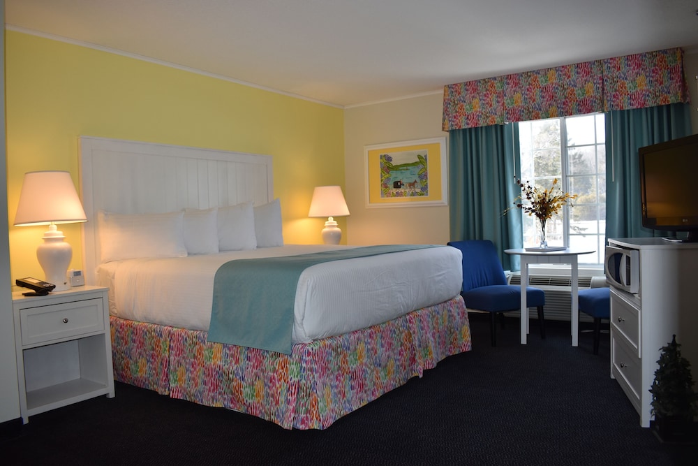 Basic Room, 1 King Bed photo 1