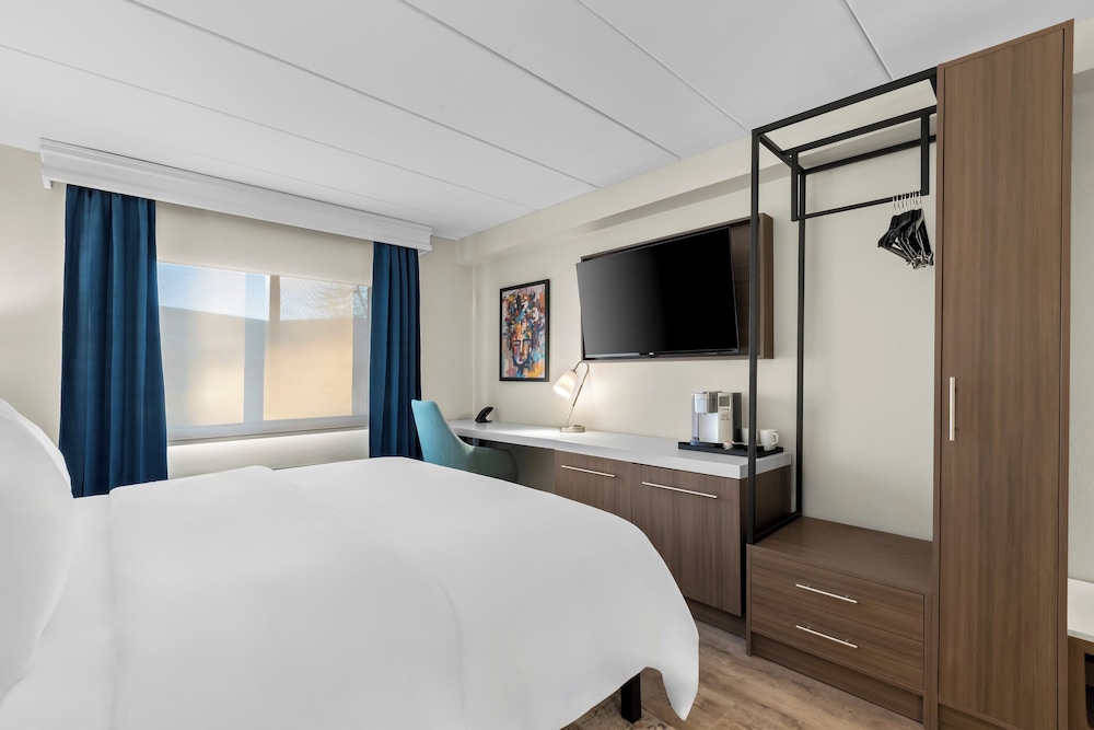 Suite, 1 King Bed - Photo 3