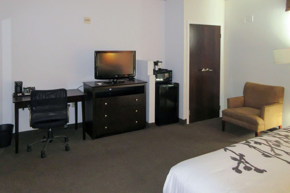 Standard Room, 1 King Bed, Non Smoking - Photo 5