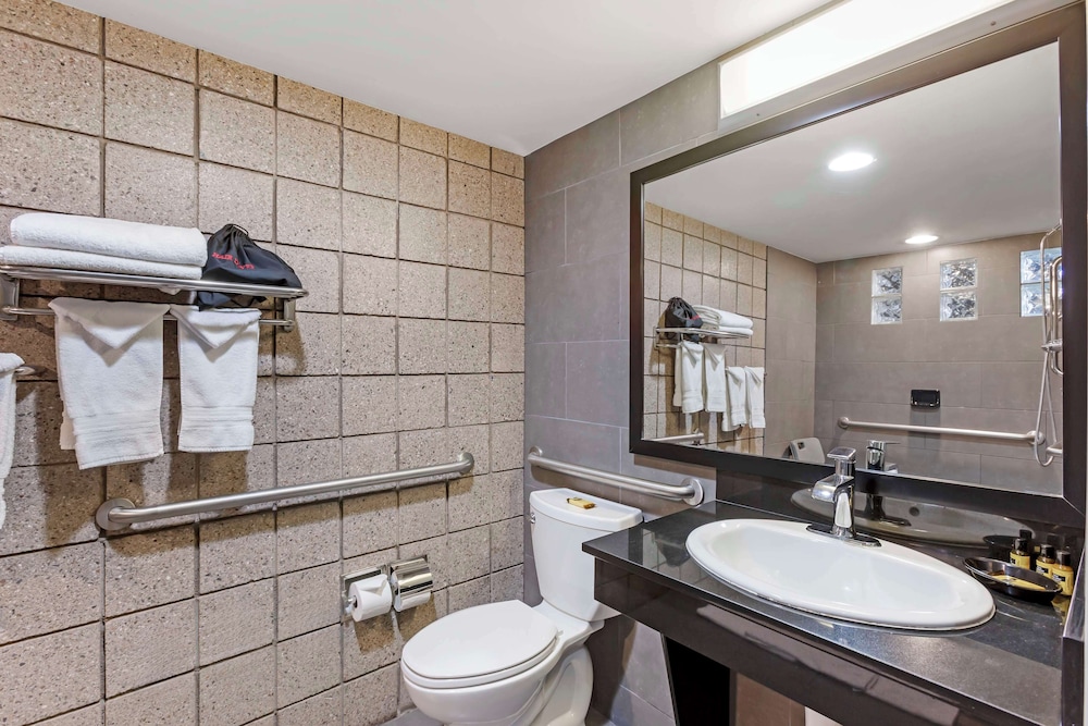 Standard Room, 1 King Bed, Accessible - Photo 4