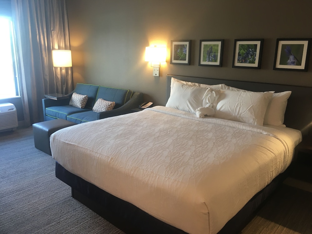 Room, 1 King Bed, Accessible, Non Smoking (Hearing, Roll-In Shower)