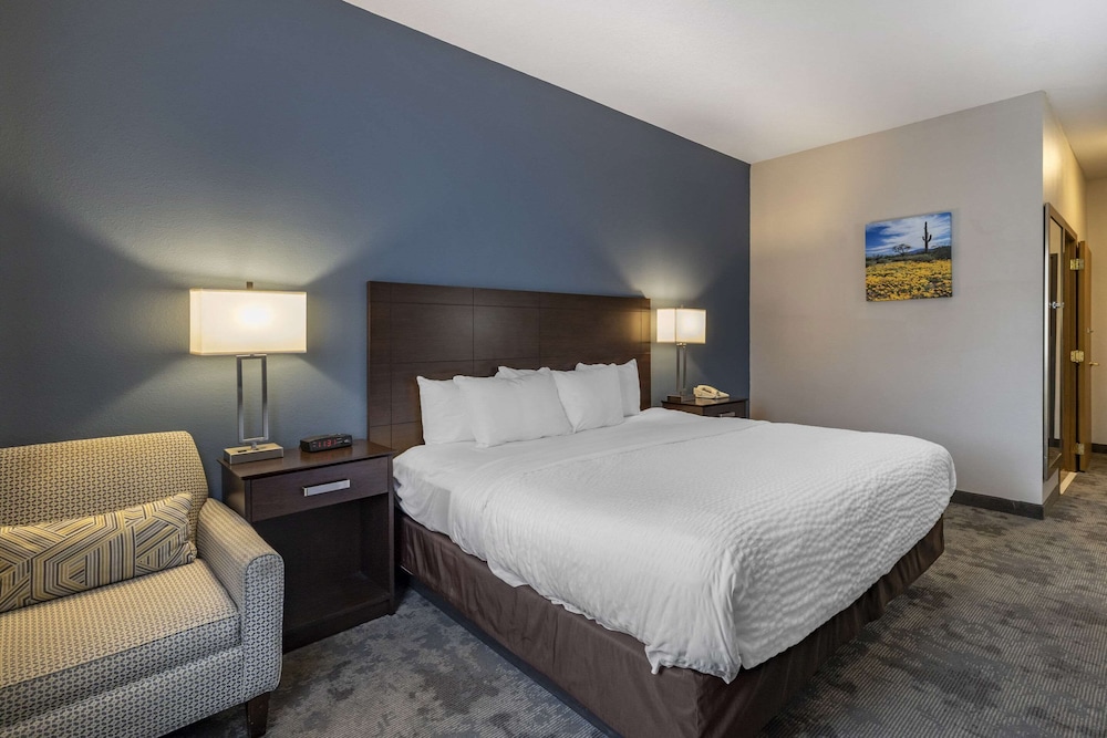 Business Room, 1 King Bed, Accessible, Non Smoking - Photo 3