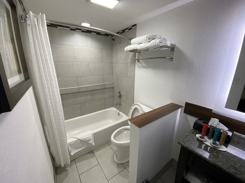 Standard Single Room - Photo 21