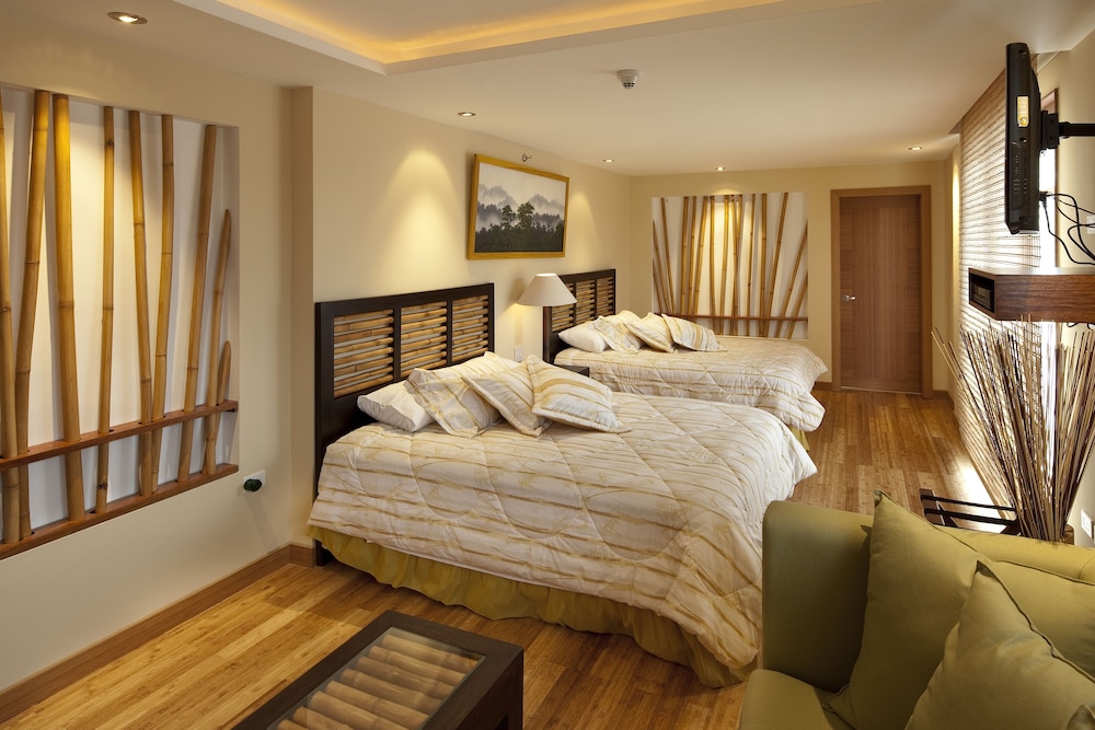 Deluxe Double or Twin Room photo 2