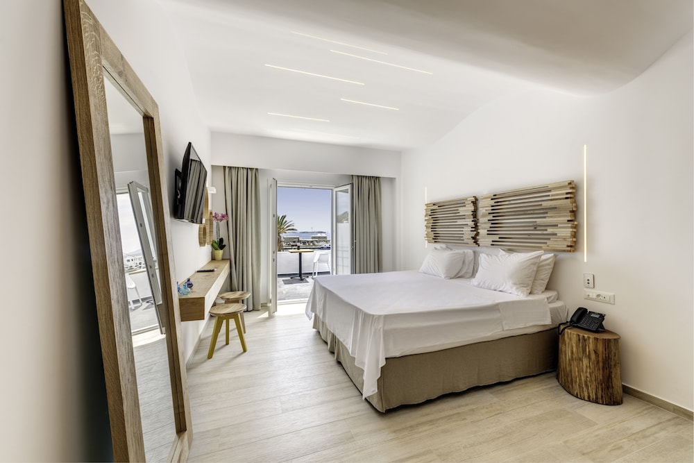 Deluxe Double or Twin Room photo 1