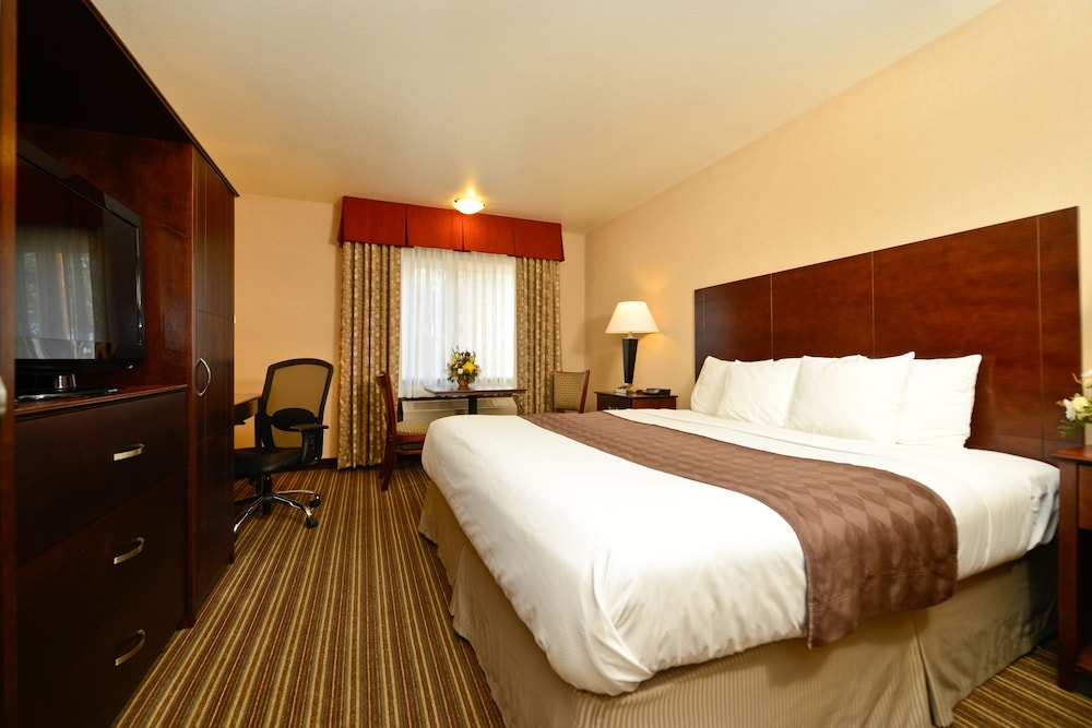 Standard Room, 1 King Bed (Traditional Room 1 King Bed) - Photo 1