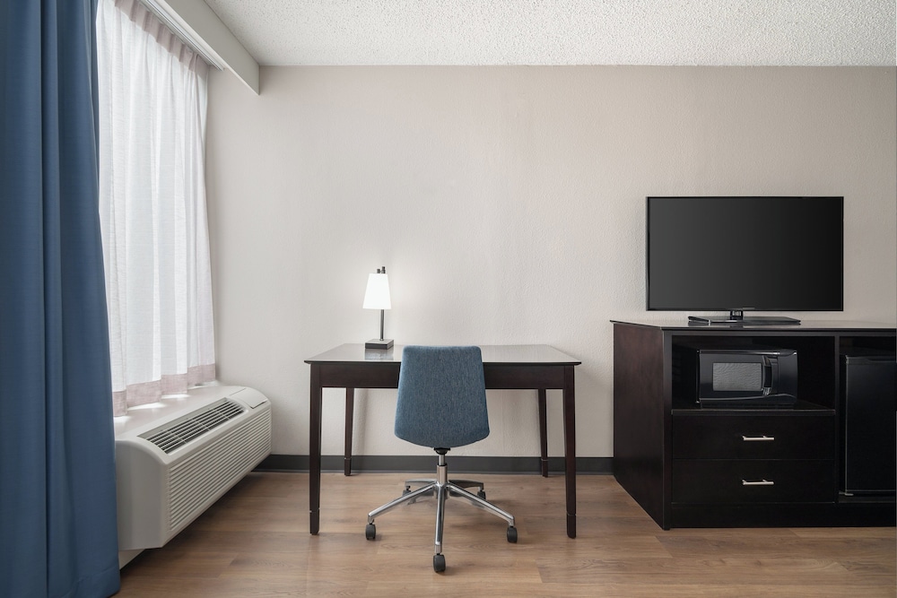 Suite, 1 King Bed - Photo 2