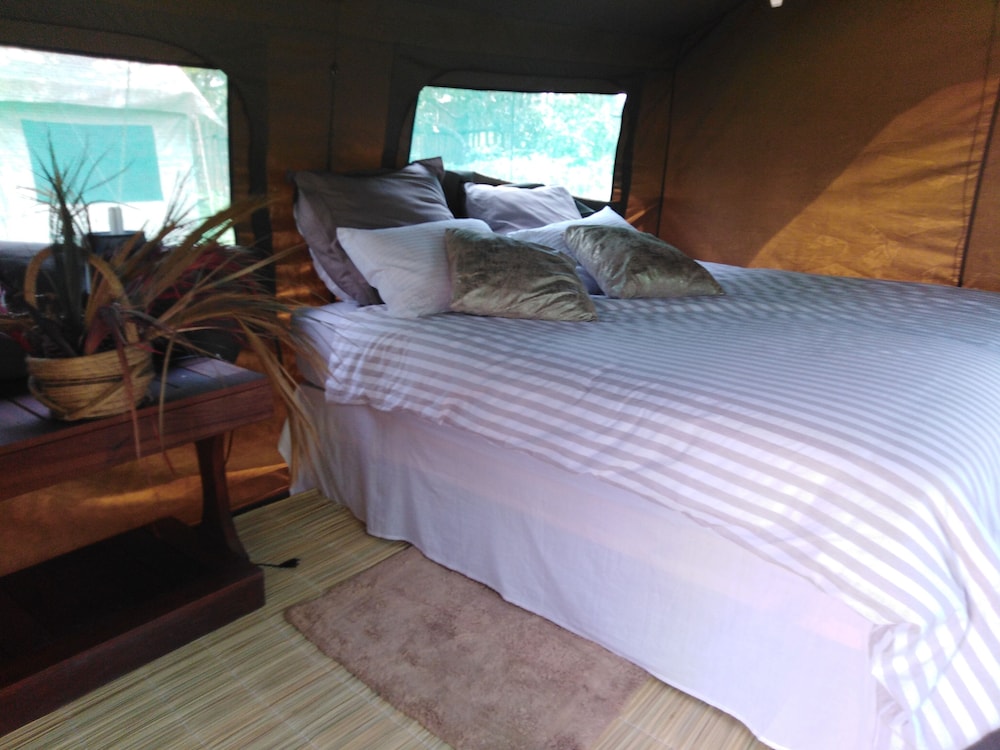 Basic Tent, 1 Queen Bed, Non Smoking, Shared Bathroom photo 1