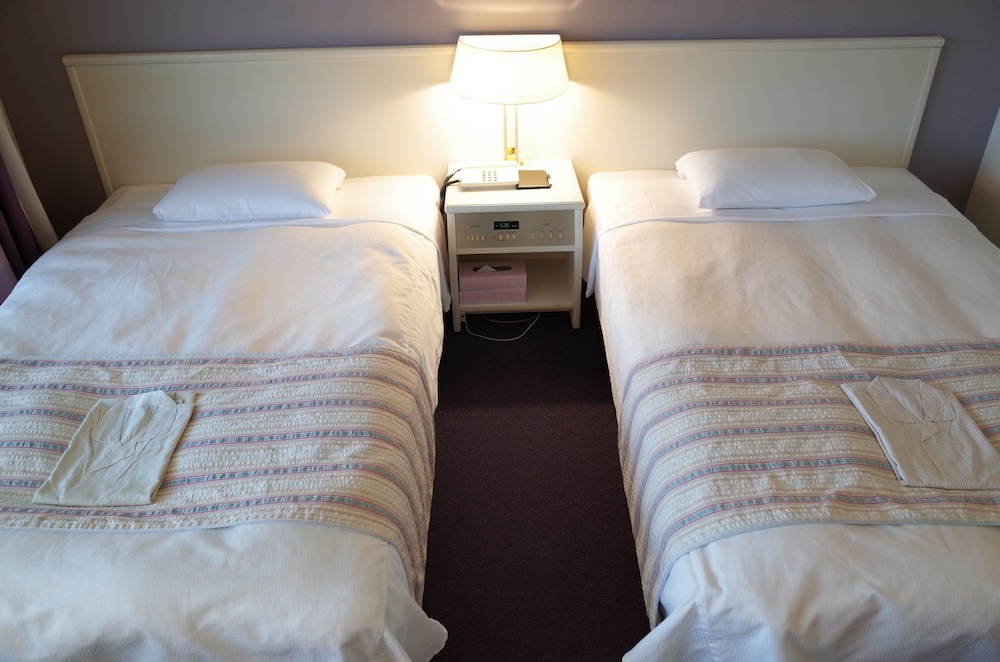 Deluxe Twin Room photo 2
