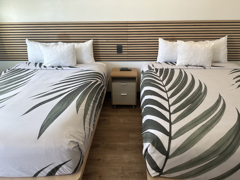 Basic Double Room, 2 Queen Beds photo 3