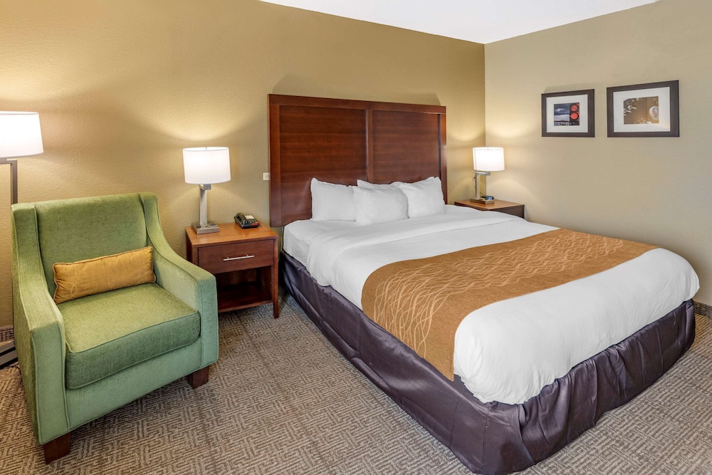 Room, 1 King Bed, Accessible, Non Smoking photo 1