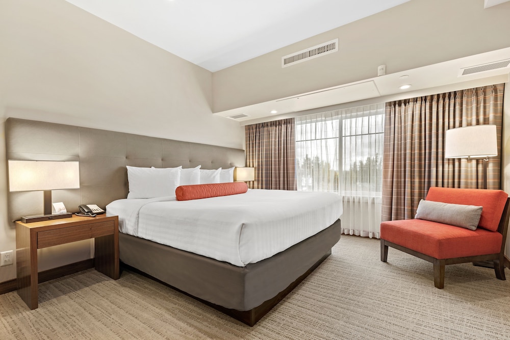 Suite, 1 King Bed with Sofa bed photo 3
